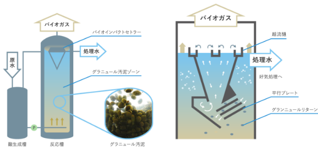 バイオインパクト図