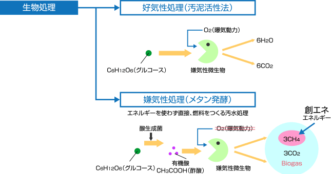 嫌気性排水処理 バイオインパクト