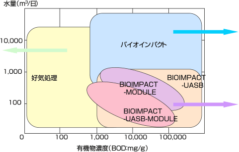 ラインアップ