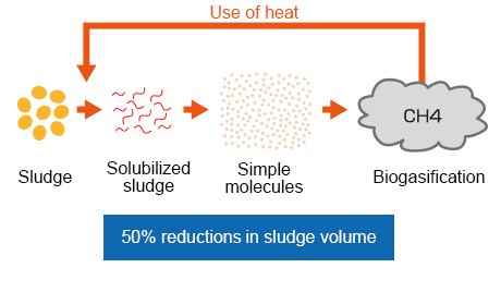 High sludge reduction rate