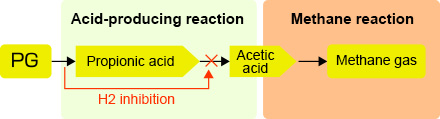 Issues in PG treatment