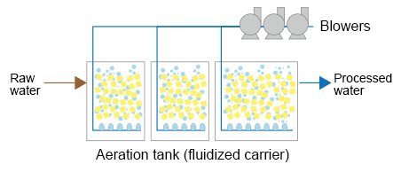 Compact size achieved by increased bacteria concentration